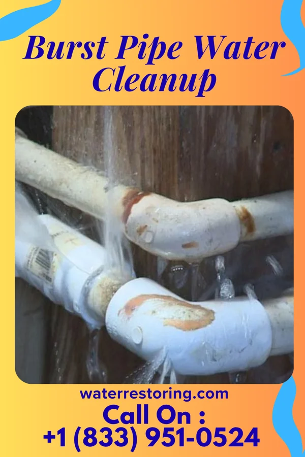 Burst Pipe Water Cleanup in Ocean Beach, NY