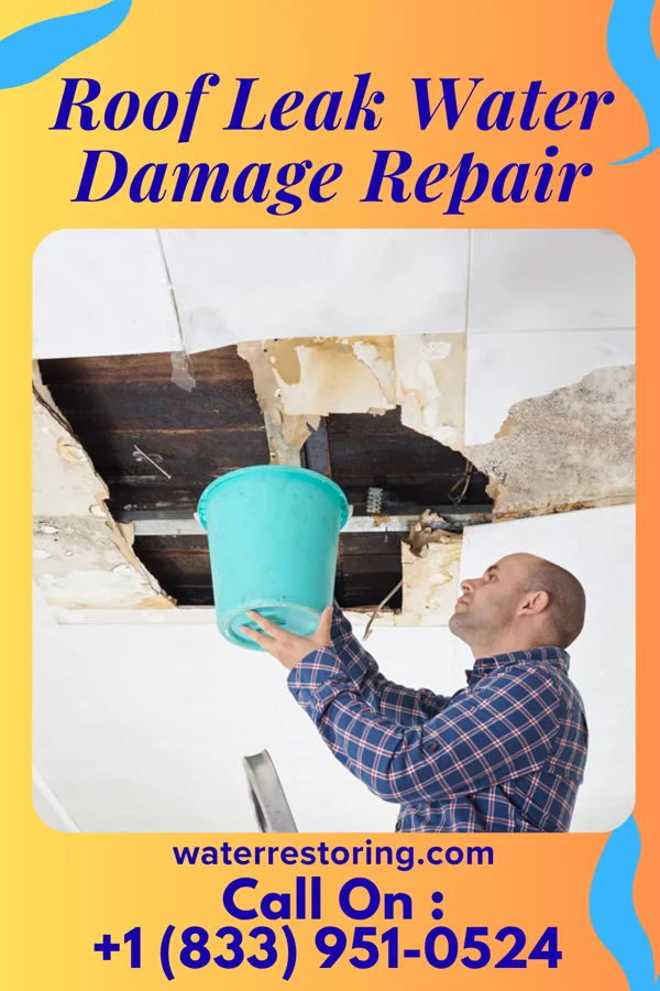 Roof Leak Water Damage Repair in Ocean Beach, NY
