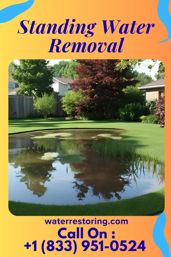 Standing Water Removal in Ocean Beach, NY
